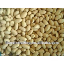 Shandong Erdnuss-Exporteur